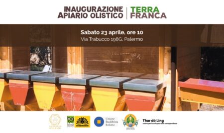 Nasce un apiario olistico a Palermo grazie al progetto Green Future